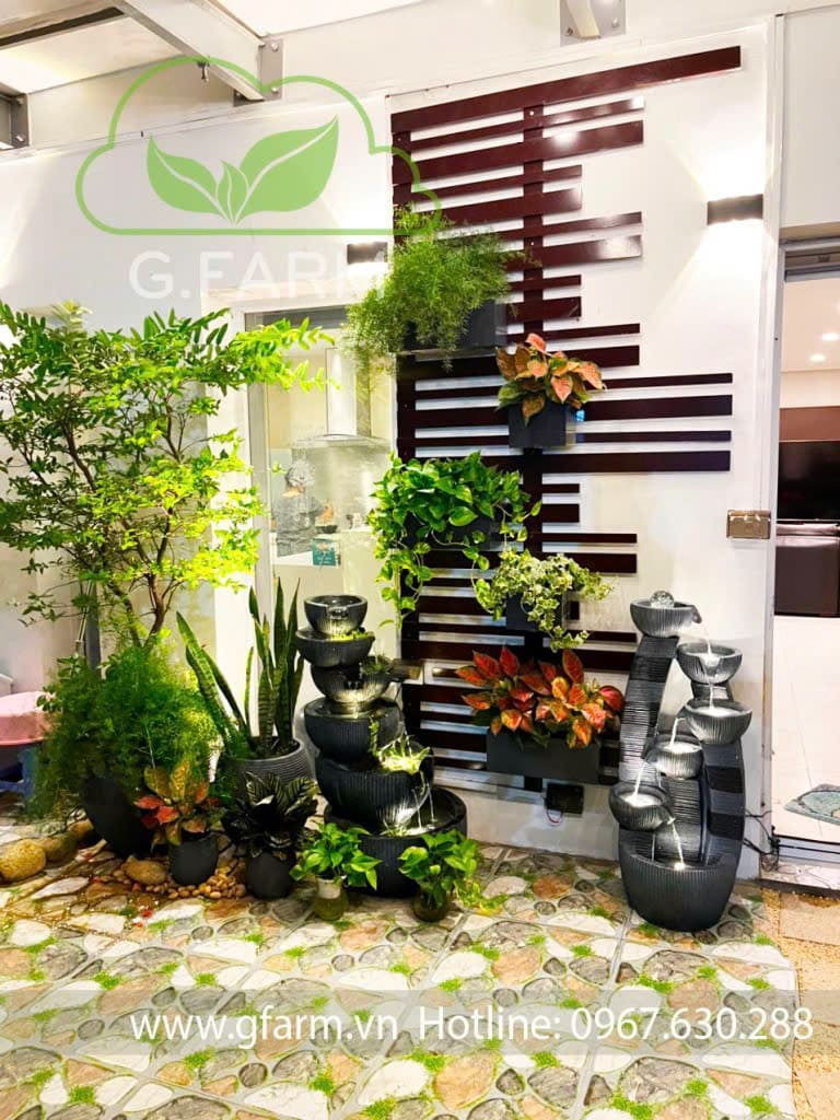 Anh Việt Anh west lake Tây Hồ